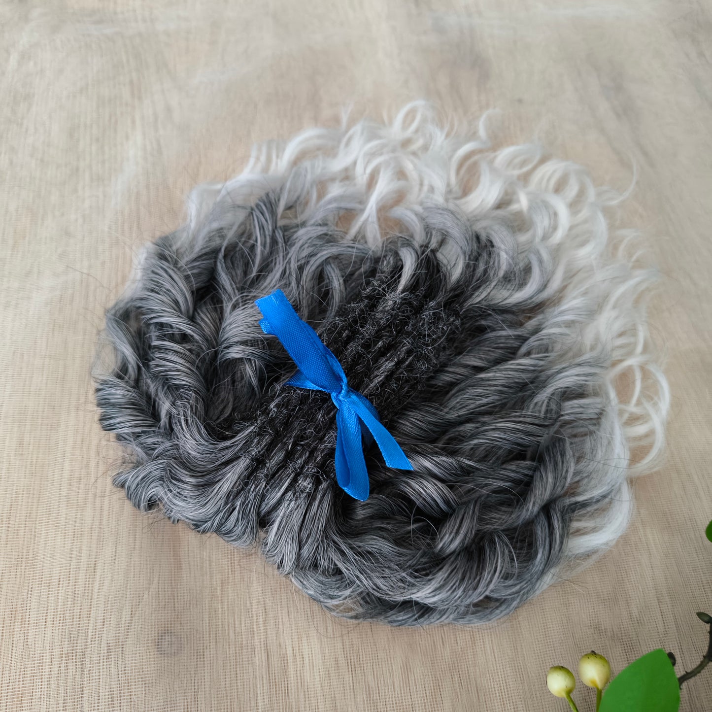 Salt and pepper: ombre from dark grey to white, natural-looking, short Jessica regular dreaded curls. The length is 10 inches (25 cm), dreaded part ±3-4 inches.