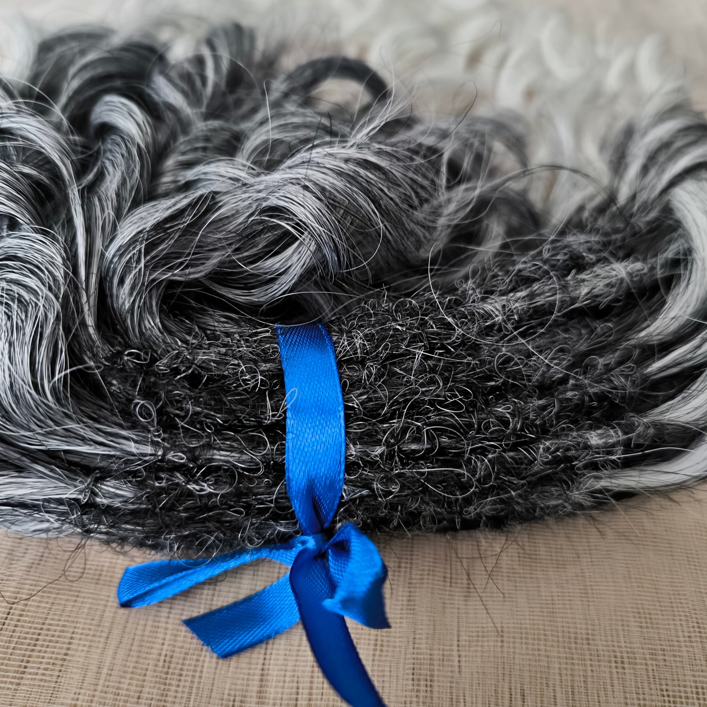 Salt and pepper: ombre from dark grey to white, natural-looking, short Jessica regular dreaded curls. The length is 10 inches (25 cm), dreaded part ±3-4 inches.