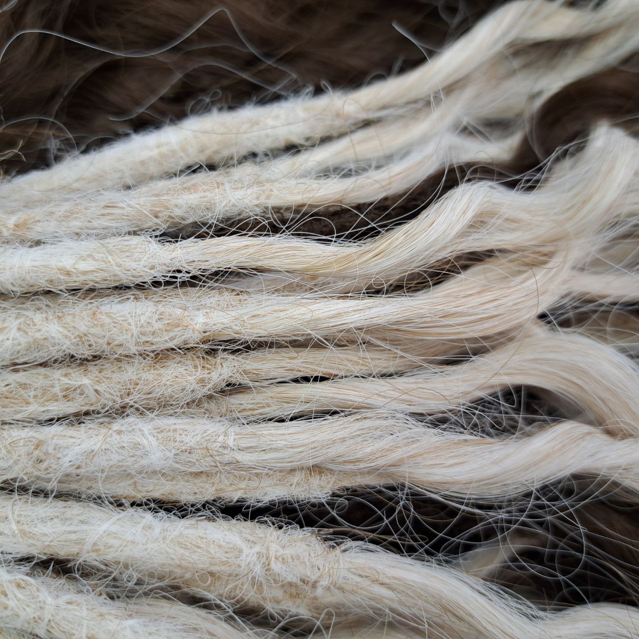 Platinum Blonde (40 DE) and accent brown set (18 DE) - 58 total double ended synthetic non-brushable regular dreaded curls.
Length: ±22 inches (55 cm)
Dreaded part of curls ±3-4 inches (8-10 cm)
Weight: ±315 gr (11,11 oz)